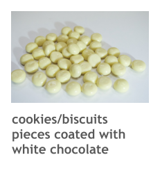 cookies/biscuits pieces coated with white chocolate