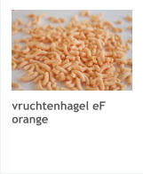 vruchtenhagel eF orange