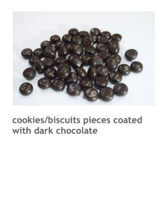 cookies/biscuits pieces coated with dark chocolate